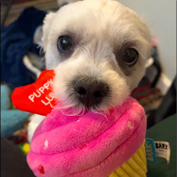 Heellloo ! I’m 😈. - Picture 5 of 6